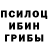 Галлюциногенные грибы Psilocybine cubensis Murad Normatov