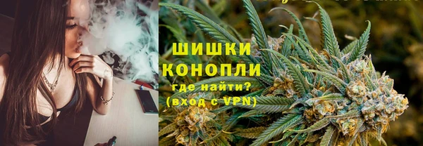 молекула духа Белокуриха