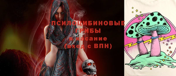молекула духа Белокуриха